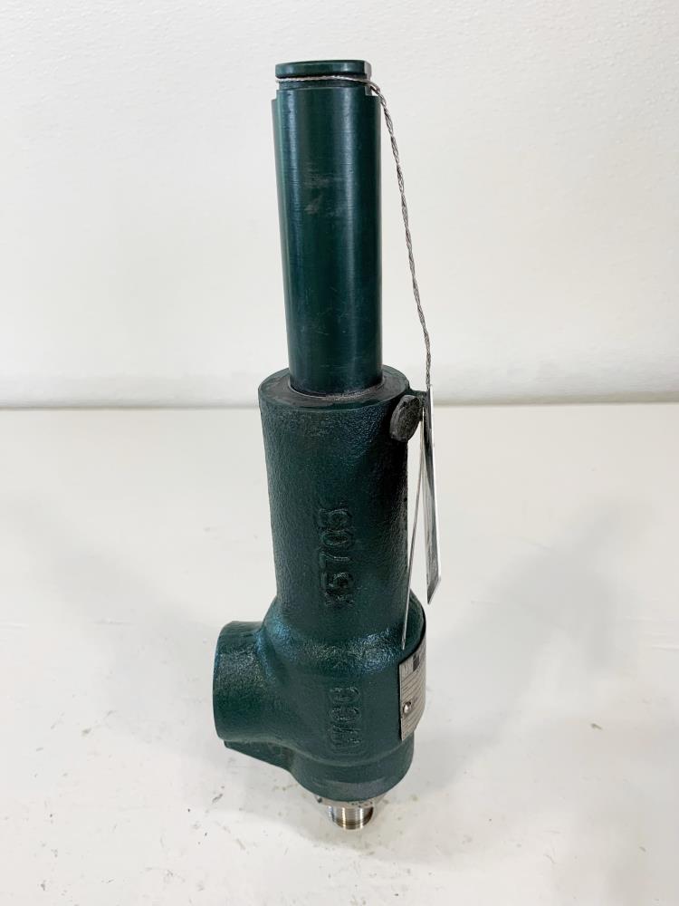 Dresser Consolidated 1/2" x 1" NPT WCC Relief Valve 19096MCF-2-CC-MS-31-MT-FT-LA